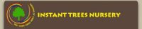 Instant Trees Nursery.jpg